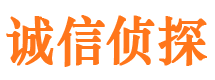 定日诚信私家侦探公司